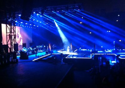 Elisa Verona 2014