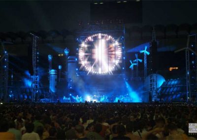 Ligabue 2008
