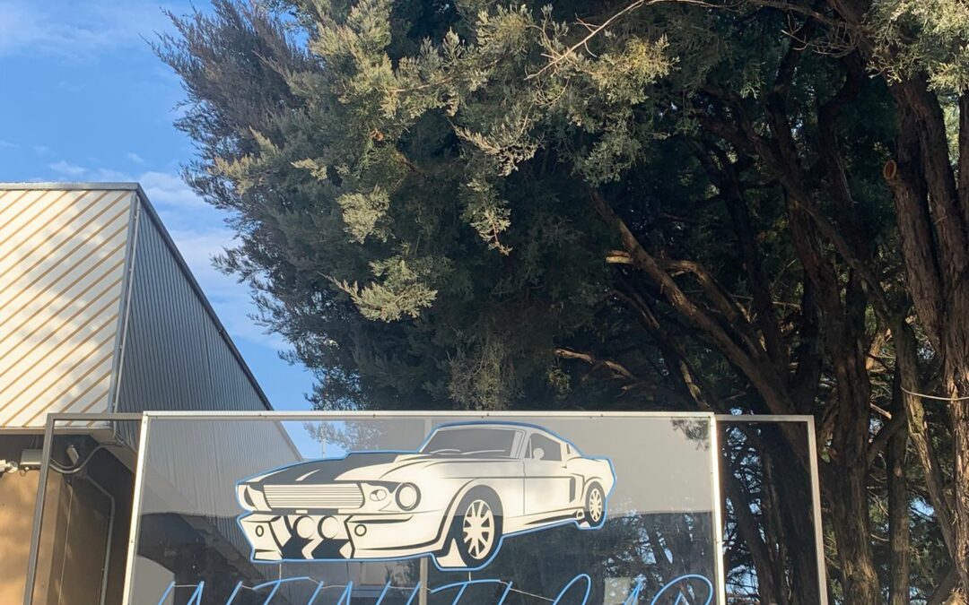 INSEGNA INFINITY CAR 2023